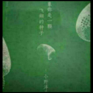 小野洋子-启示