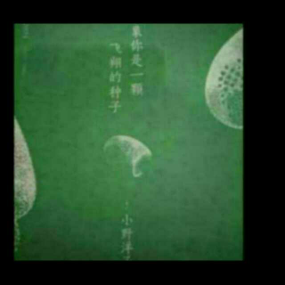 小野洋子-结束篇（完结）