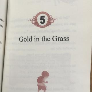 5、Gold in the grass