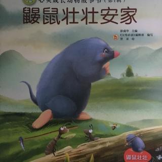 【故事40】鼹鼠壮壮安家