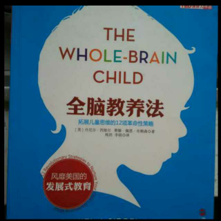 全脑教养法 全脑教养指南  发展孩子的上层大脑
