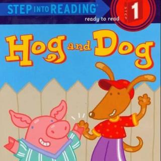 SIR02-hog and dog 第二课