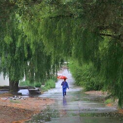 20160706143159《走过一场雨》作者：螺丝刀   朗诵：碧海青天