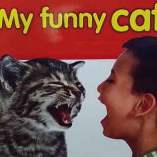 问猪讲my funny cat