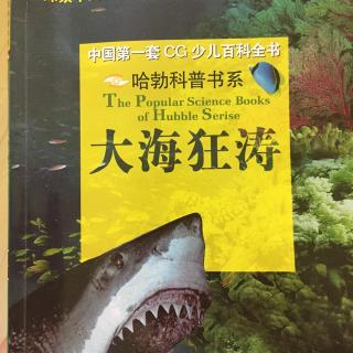 大海狂涛～鱼龙、邓氏鱼