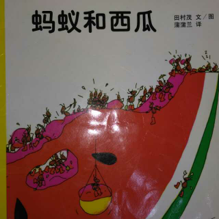 金豆宝宝讲故事～蚂蚁和西瓜🍉