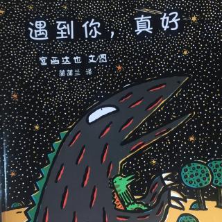 宫西达也恐龙系列：No.4 《遇到你，真好》🐲