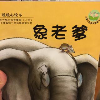 🐘老爹