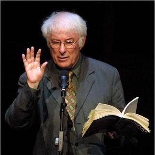 人人网介绍:《羽扇豆》选自爱尔兰诗人谢默斯·希尼的诗集《电灯光》