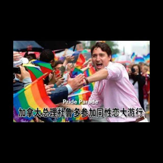 2016年加拿大同性恋游行现场报道！