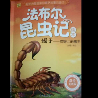 法布尔昆虫记～～蝎子