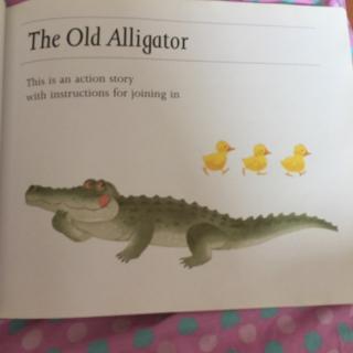 009 the old alligator 球 7-8