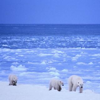 《历史上的今天》1986年7月9日 中国科学考察人员首次进入北极