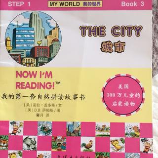 我的第一套自然拼读故事书step1book3