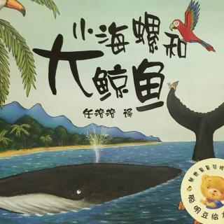 012小海螺和大鲸鱼【聪明豆绘本系列】