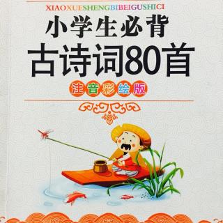 《小学生必背古诗词80首》——六月二十七日望湖楼醉书