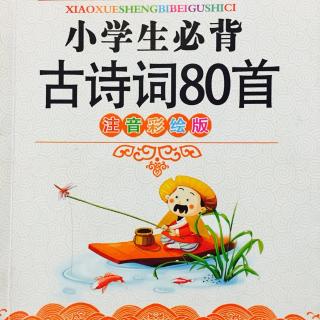 《小学生必背古诗词80首》——饮湖上初晴后雨（朗诵：璐璐）