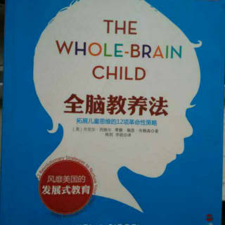 全脑教养法 第4章 给孩子建立完整的心理拼图(整合记忆)