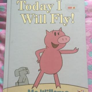 today i will fly