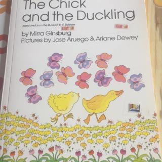 011 the chick and the duckling 球球 7-8