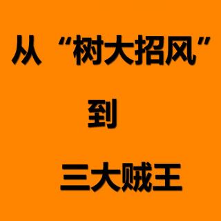 No.026 从“树大招风”到三大贼王