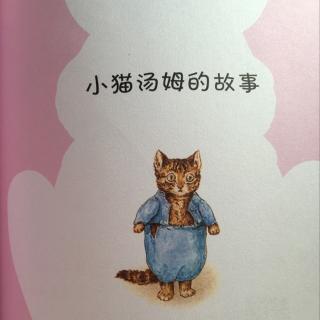 小猫汤姆的故事