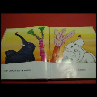 小杨老师讲故事四十九期《黑象与白象》