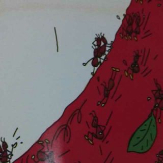 蚂蚁和西瓜