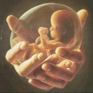 读书会第十二期：“堕胎权的是与非”