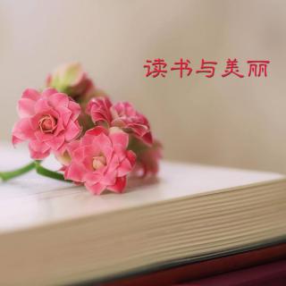 最美的文字VOL43：《读书与美丽》-严歌苓