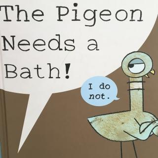 Fiona讲故事-The Pigeon Needs a Bath🐦