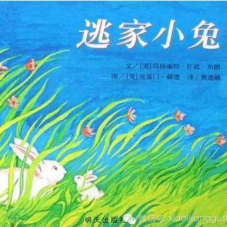 故事小主播徐茗琛：《逃家小兔》