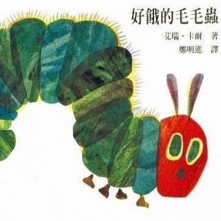 绘本故事《好饿的毛毛虫🐛》