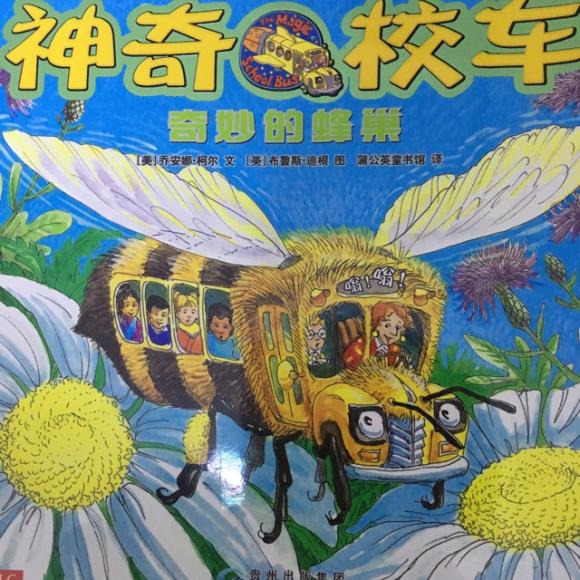 《神奇校车》之【奇妙的蜂巢】
