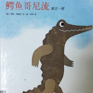 鳄鱼🐊哥尼流