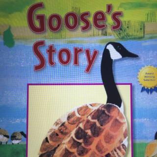 Goose's story