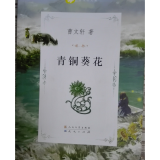 198-212页《青铜葵花》第八章 纸灯笼 