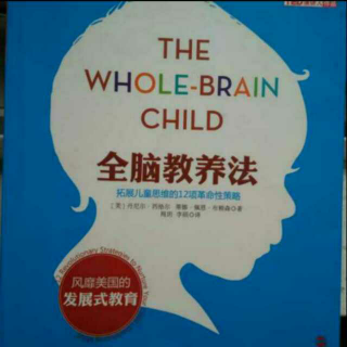 全脑教养法 全脑教养指南(帮助孩子整合内隐记忆与外显记忆)