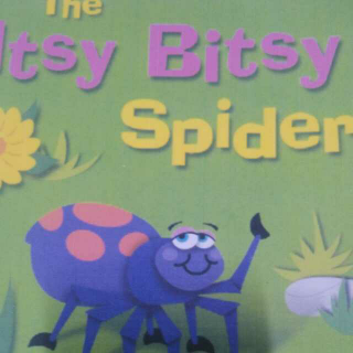 The Itsy Bitsy Spider