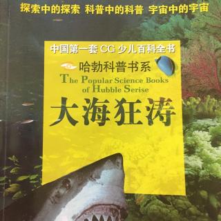 大海狂涛～会爬树的鱼弹涂鱼，温柔的猎手海葵