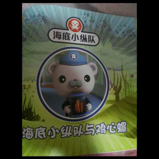 海底小纵队～鸡心螺