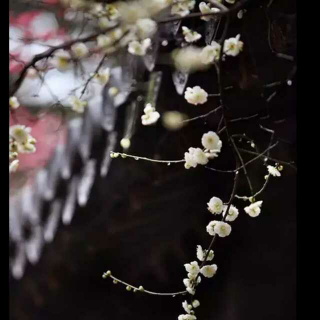 《余秋雨的话，第几句让你流泪》