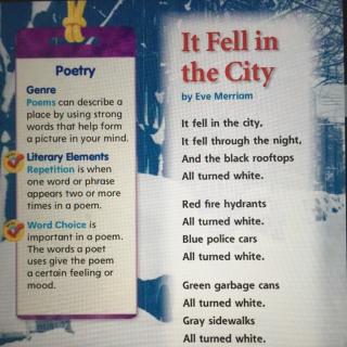 Poem-It fell in the city