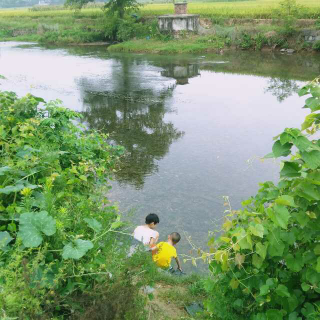 丽虹之声第338期《传统文化之家庭教育》