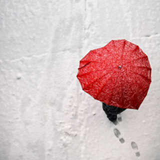 生活如雨，撑伞原谅