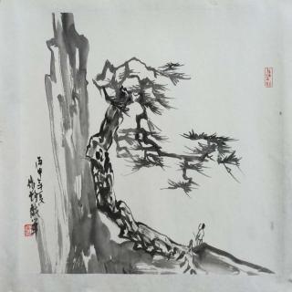 中国美院王作均教授讲课《树石总结》