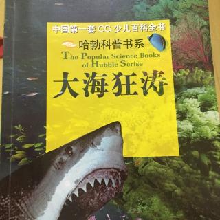 大海狂涛～海洋里的致命杀手僧帽水母，海底点击手电鳐