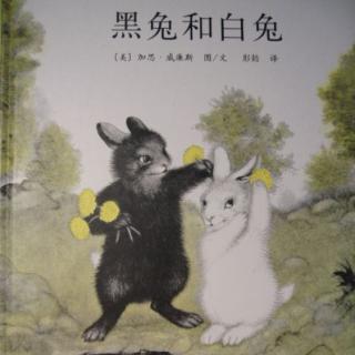俊宇麻麻讲故事-黑兔与白兔