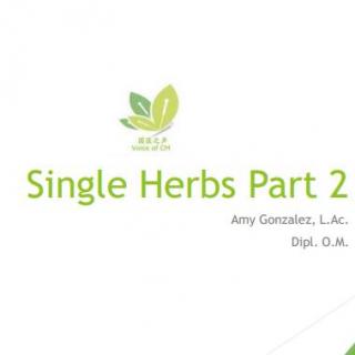 7.13 中医英语进阶：Single Herb(2), Amy