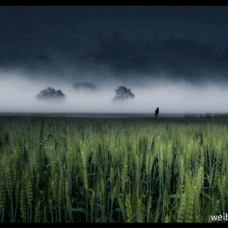 童年-《素年锦时》